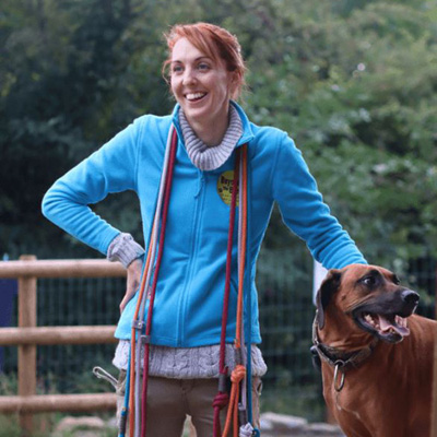 Beyond The Breed Training